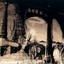 Gallery Thumbnail 51