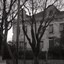 Gallery Thumbnail 53